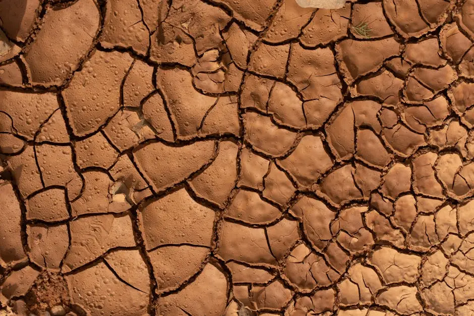Garland TX clay soil causes foundation water damage — Garland TX