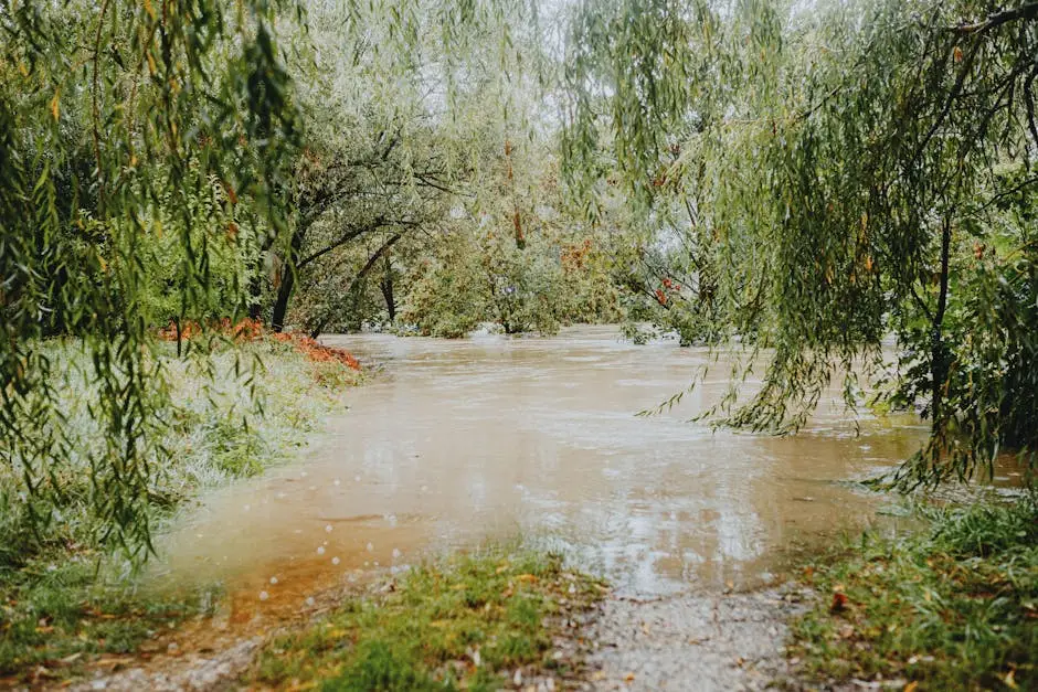 Duck Creek flooding in Garland TX neighborhoods — Garland TX