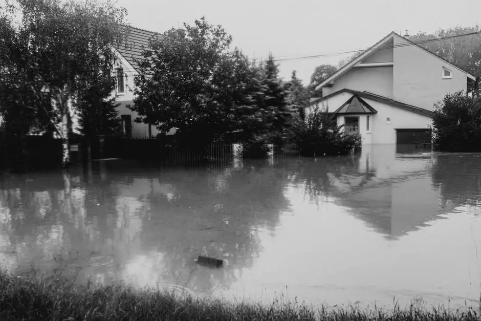 Garland TX homes prone to water damage after heavy rain — Garland TX